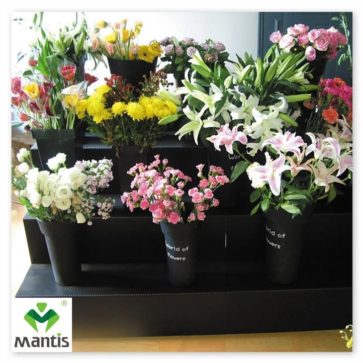 Flower Display Stand 4