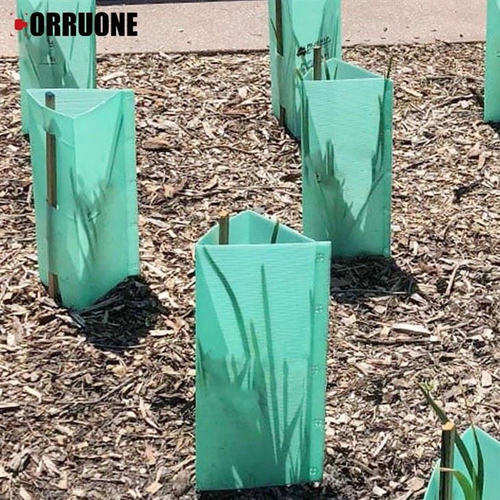 Plastic Corflute Tree Guards Plant Protection