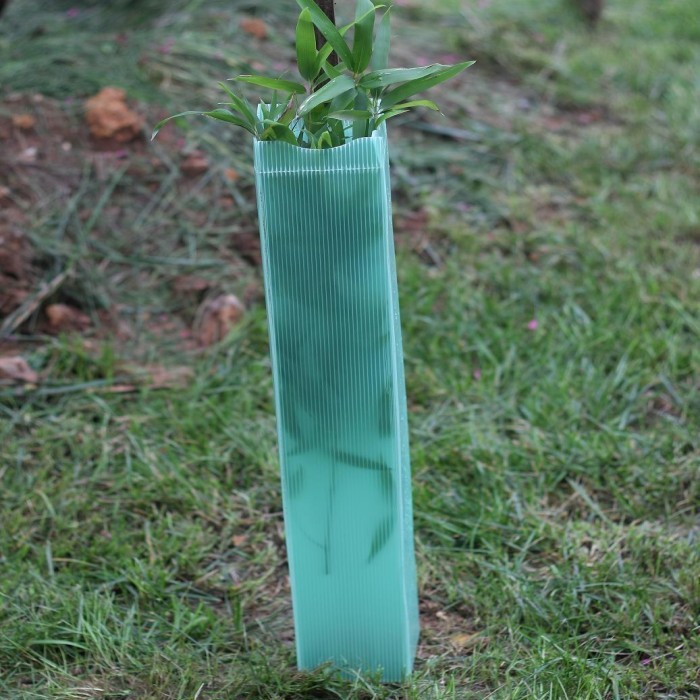 Vine Guard Planting Tree Protection