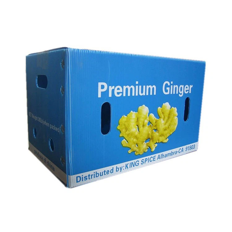 Corrugated Plastic Turnover Vegetable Boxes