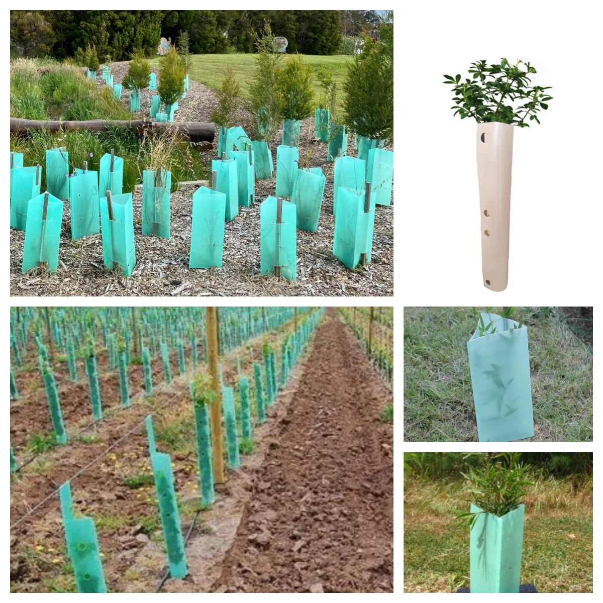 productcate-1200-1200