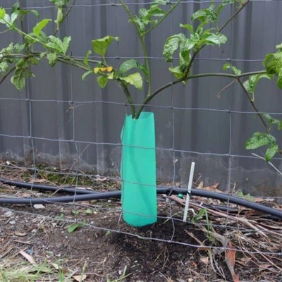 Пластиковий щиток Corflute Tree Guard